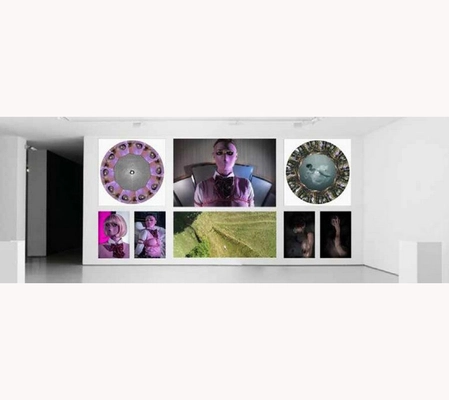 La belle captive